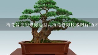 梅花盆景的修剪造型，梅花修剪技术图解(5种方法)