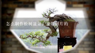 怎么制作松树盆景？要带图片的