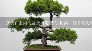 摆放在室内的盆景树造型的.树高1般多高比较适合比较有观欣价值好看?还有多高的盆景树比较值得收藏?