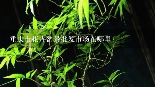 重庆市花卉盆景批发市场在哪里？