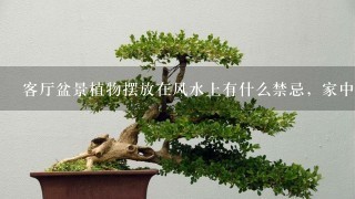 客厅盆景植物摆放在风水上有什么禁忌，家中摆放植物有哪些禁忌，需要注意什么事项？