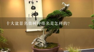 十大盆景名贵树种排名是怎样的？