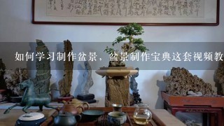 如何学习制作盆景，盆景制作宝典这套视频教程怎么样，求各位解答