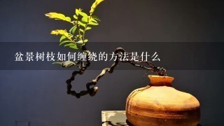 盆景树枝如何缠绕的方法是什么