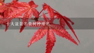 十大盆景名贵树种排名