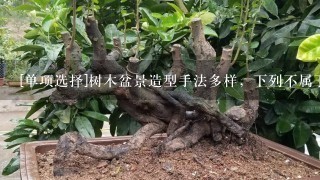 [单项选择]树木盆景造型手法多样，下列不属于其象形型的是（）。A. 滚龙抱柱B. 龙凤呈祥C. 2龙戏珠D. 大展宏图