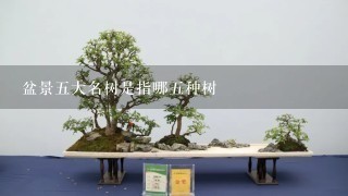 盆景5大名树是指哪5种树