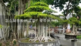 怎么制作松树盆景？要带图片的