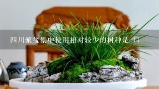 4川派盆景中使用相对较少的树种是（）