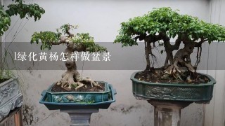 l绿化黄杨怎样做盆景