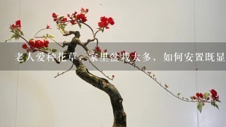 老人爱种花草，家里盆栽太多，如何安置既显美观又能