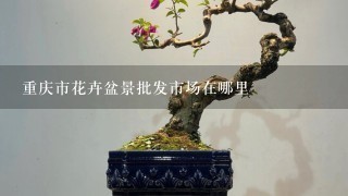 重庆市花卉盆景批发市场在哪里
