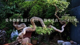 爱木愚解盆景口诀01--枝无寸直，1寸3弯。