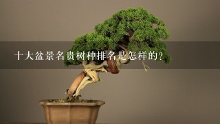 十大盆景名贵树种排名是怎样的？