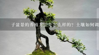 栒子盆景的养殖方法是怎么样的？土壤如何调配？