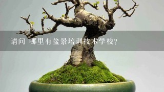 请问 哪里有盆景培训技术学校？