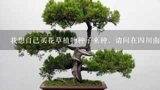 我想自己买花草植物种子来种，请问在4川南充这边种什么品种合适？如何种？