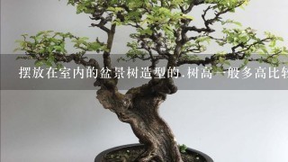 摆放在室内的盆景树造型的.树高1般多高比较适合比较有观欣价值好看?还有多高的盆景树比较值得收藏?