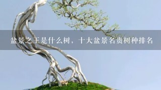 盆景之王是什么树，十大盆景名贵树种排名