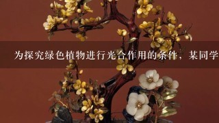 为探究绿色植物进行光合作用的条件，某同学选择1种盆栽的“银心”黄杨作为实验材料，该植物叶片的绿色部分和白色部分界线清晰...