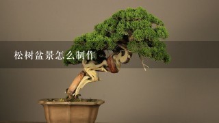 松树盆景怎么制作