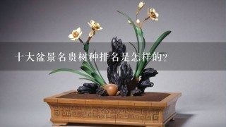 十大盆景名贵树种排名是怎样的？