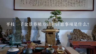 平枝栒子盆景养殖方法和注意事项是什么？