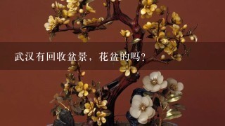 武汉有回收盆景，花盆的吗？