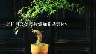 怎样用PS给图片添加花朵素材？