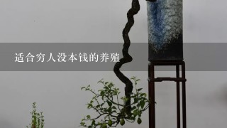 适合穷人没本钱的养殖