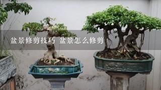 盆景修剪技巧 盆景怎么修剪