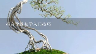 抖音盆景初学入门技巧