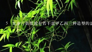 5 某步行街摆放有若干盆甲乙丙3种造型的盆景。甲种盆景由15朵红花24朵黄花和25朵紫花搭配而成