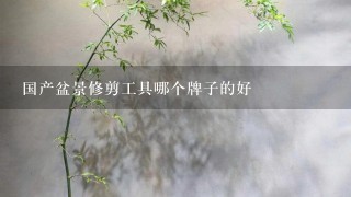 国产盆景修剪工具哪个牌子的好