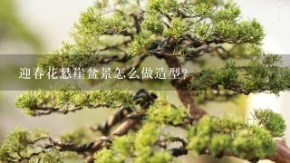 迎春花悬崖盆景怎么做造型？