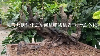 蔬菜大棚种什么东西最赚钱最省事???忘各位网友多多回答~~~谢谢大家!