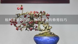 榕树盆景怎么养，榕树盆景的修剪技巧