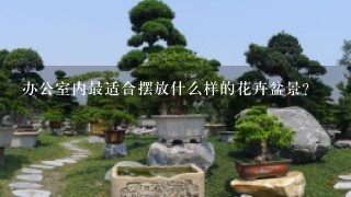 办公室内最适合摆放什么样的花卉盆景？