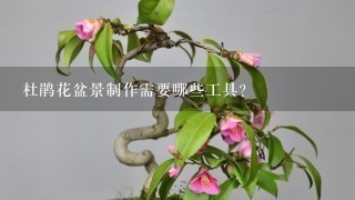 杜鹃花盆景制作需要哪些工具？