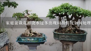 家庭盆栽花卉浇水过多出现闷根情况如何处理