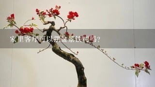 家里客厅可以摆盆景铁树吗？