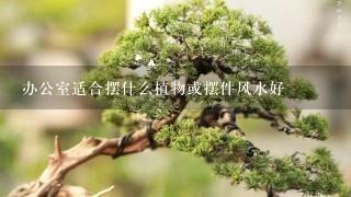 办公室适合摆什么植物或摆件风水好