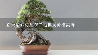 宜兴紫砂花盆在当地批发价格高吗