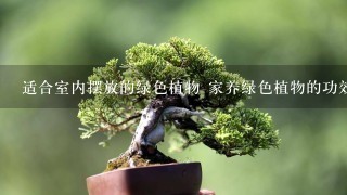 适合室内摆放的绿色植物 家养绿色植物的功效