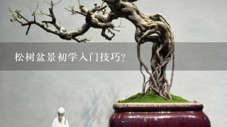 松树盆景初学入门技巧？