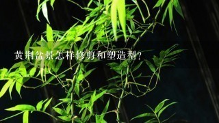 黄荆盆景怎样修剪和塑造型？