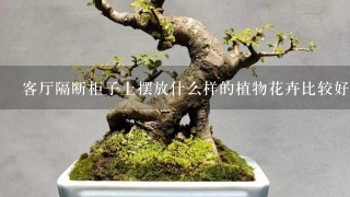 客厅隔断柜子上摆放什么样的植物花卉比较好？