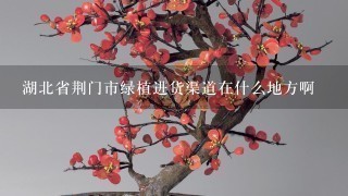 湖北省荆门市绿植进货渠道在什么地方啊