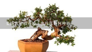 金线莲种植方法，金线莲如何种植