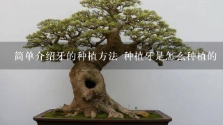 简单介绍牙的种植方法 种植牙是怎么种植的